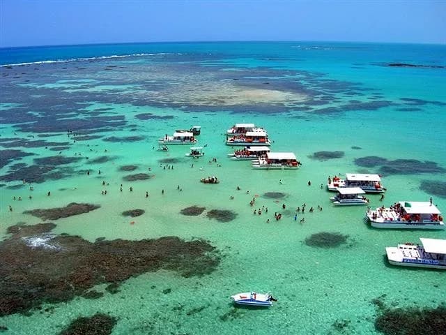 Cenário de Porto de Galinhas + Recife + Maragogi